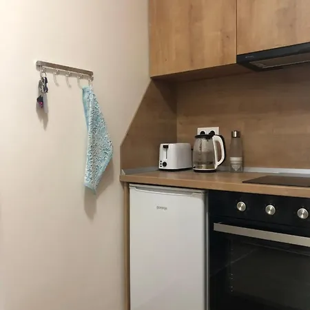 A34 Gardens 公寓 波罗维茨